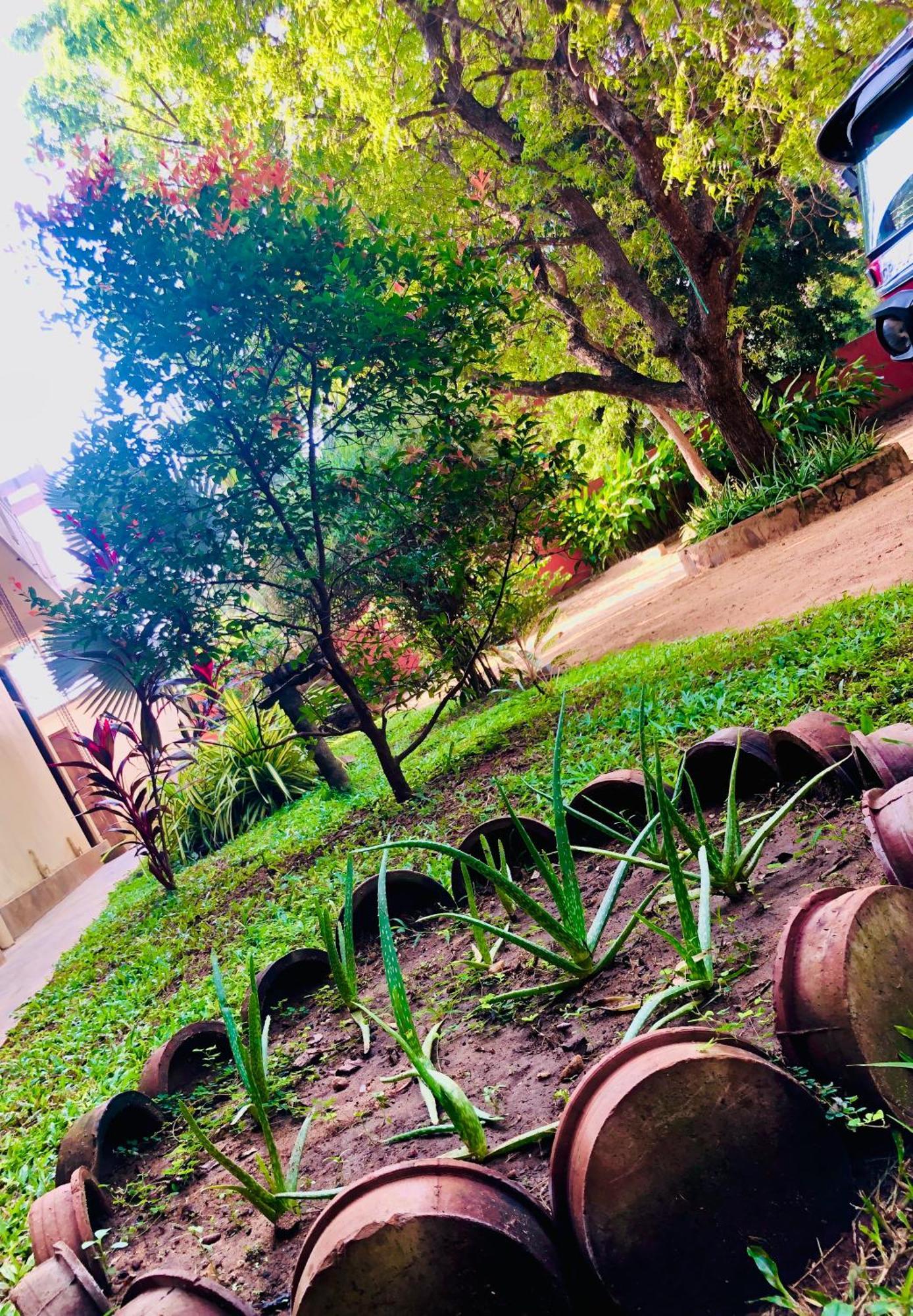 Saman Resort Yala ทิซซามาฮารามา ภายนอก รูปภาพ