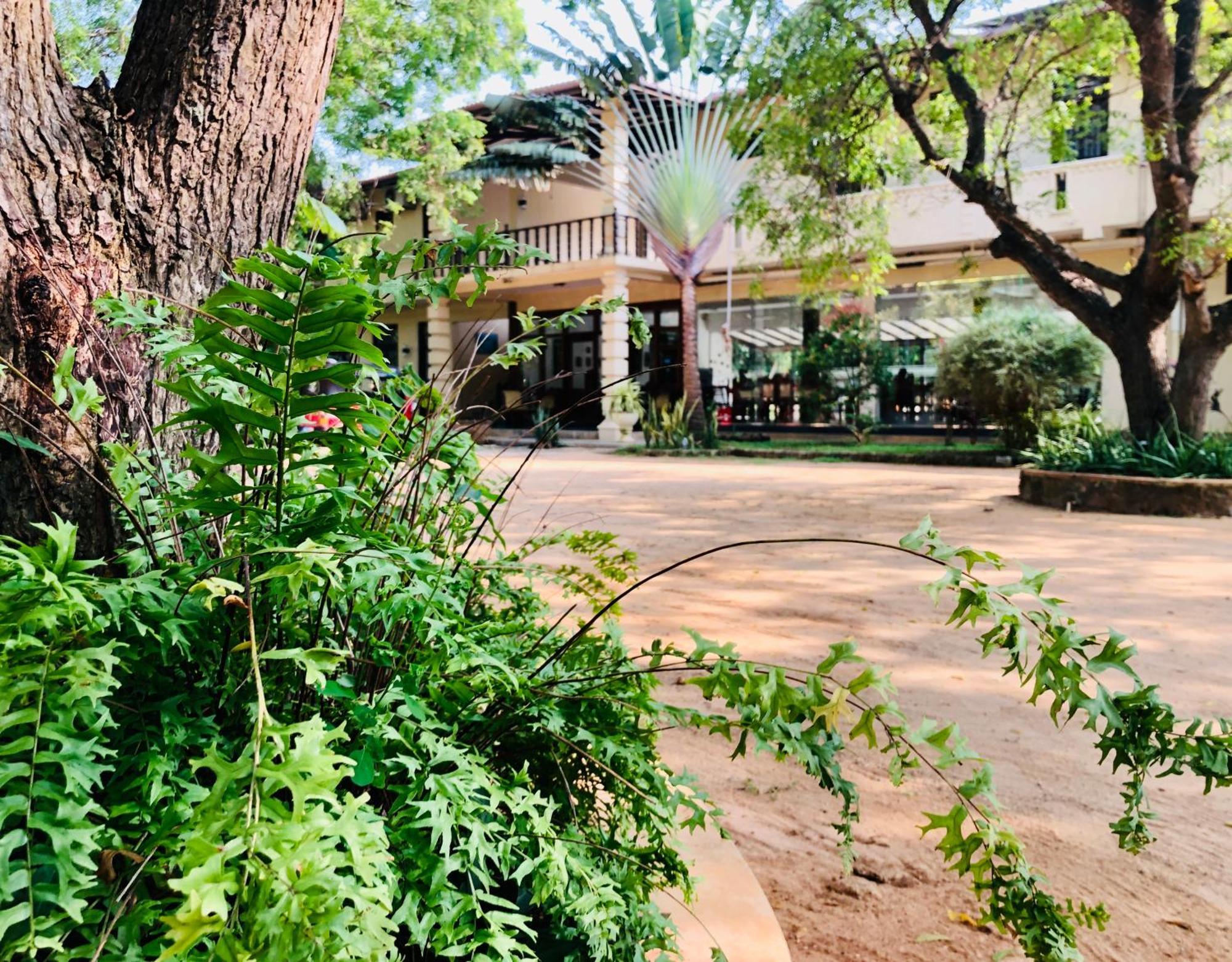 Saman Resort Yala ทิซซามาฮารามา ภายนอก รูปภาพ