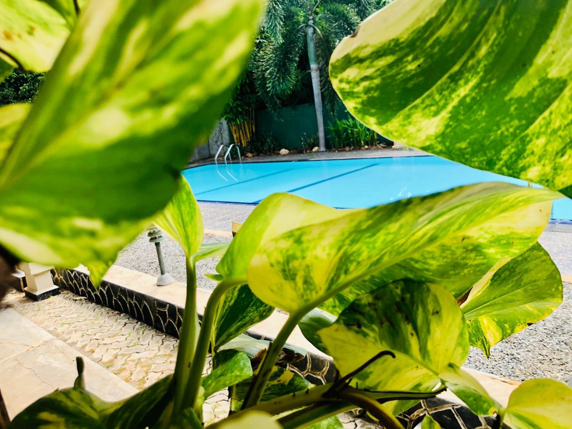 Saman Resort Yala ทิซซามาฮารามา ภายนอก รูปภาพ