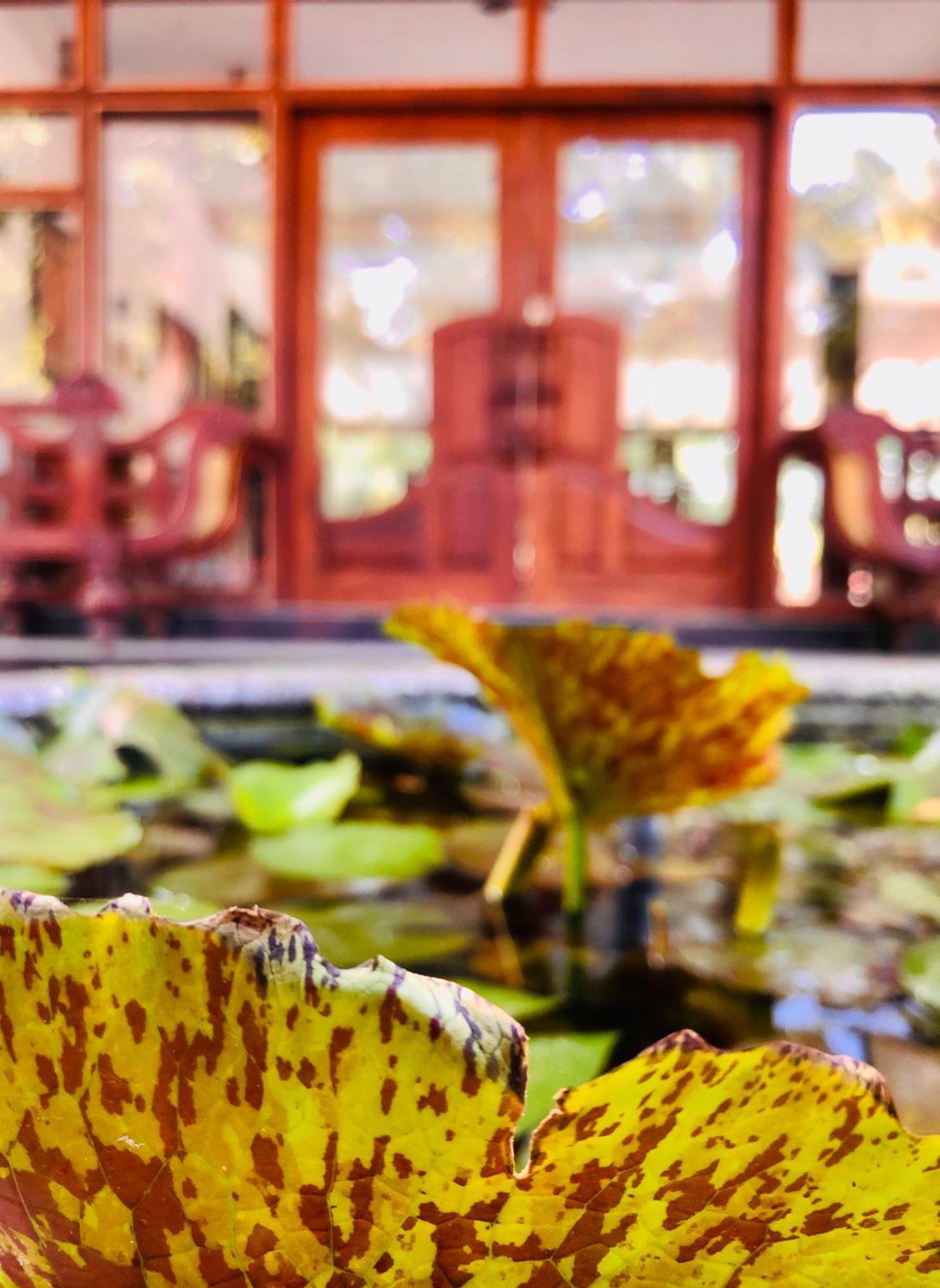 Saman Resort Yala ทิซซามาฮารามา ภายนอก รูปภาพ