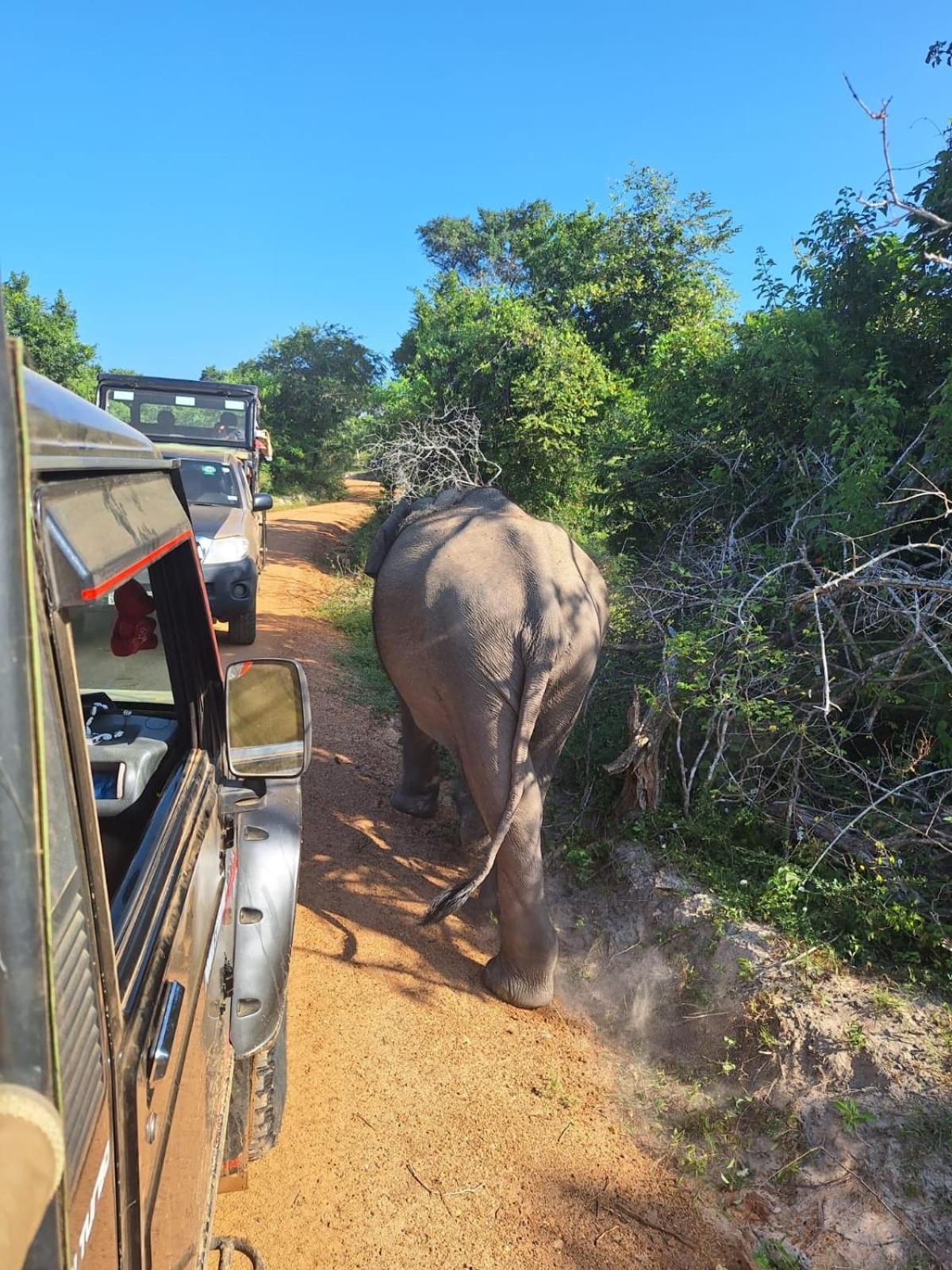 Saman Resort Yala ทิซซามาฮารามา ภายนอก รูปภาพ