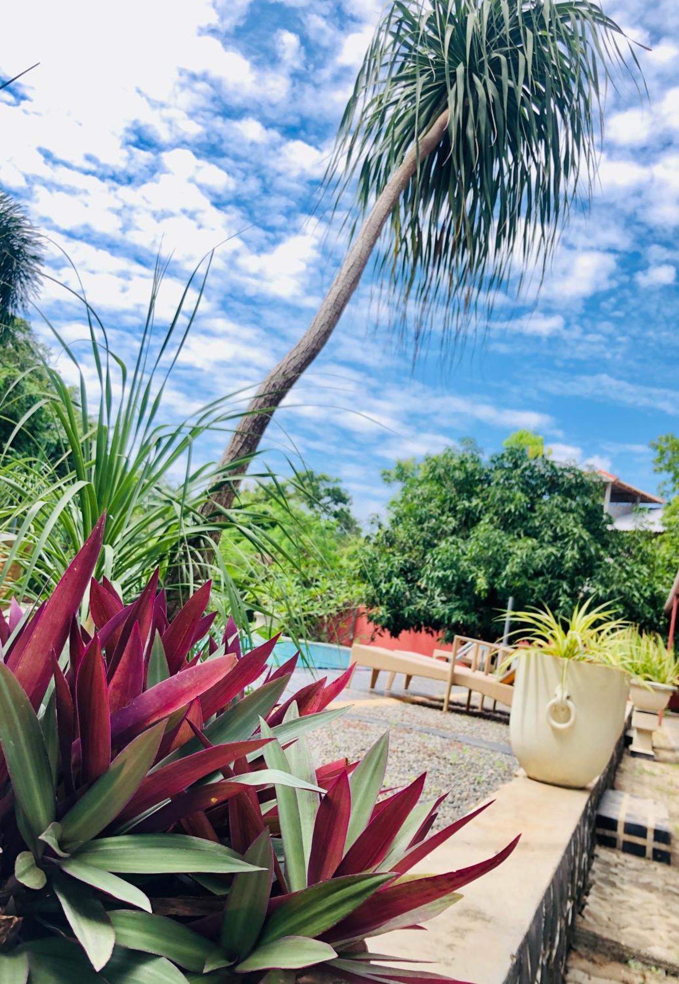 Saman Resort Yala ทิซซามาฮารามา ภายนอก รูปภาพ