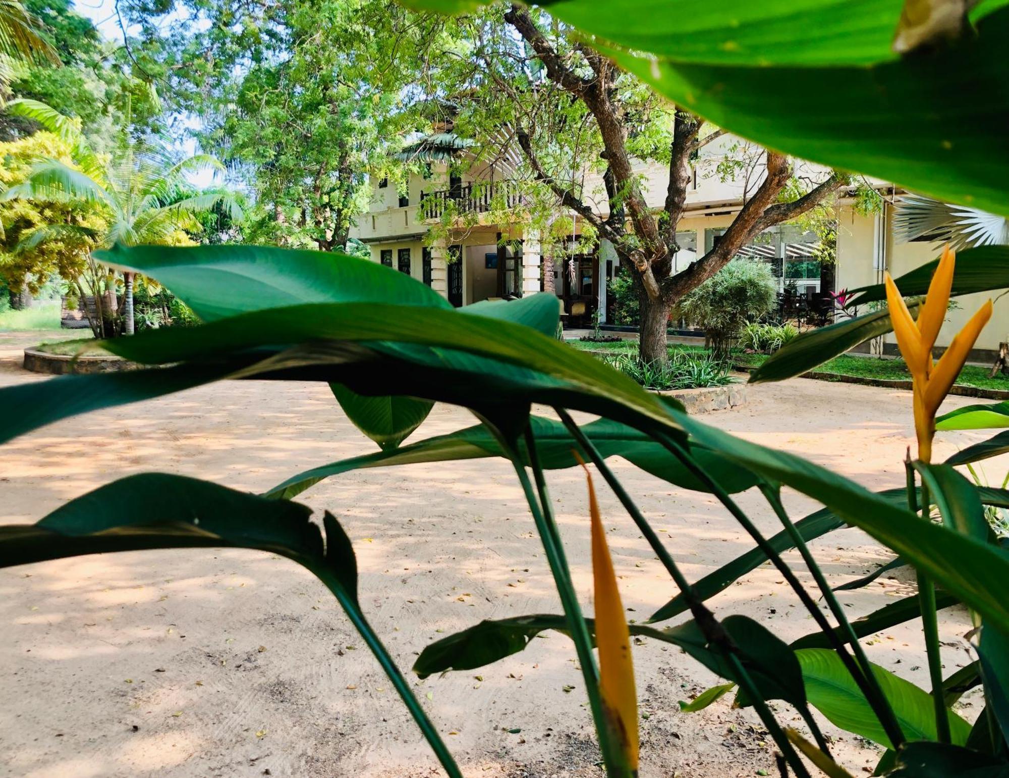 Saman Resort Yala ทิซซามาฮารามา ภายนอก รูปภาพ